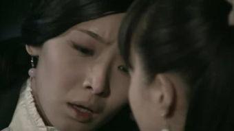 黑狐在线观看,暗网风云，揭秘网络世界的神秘较量